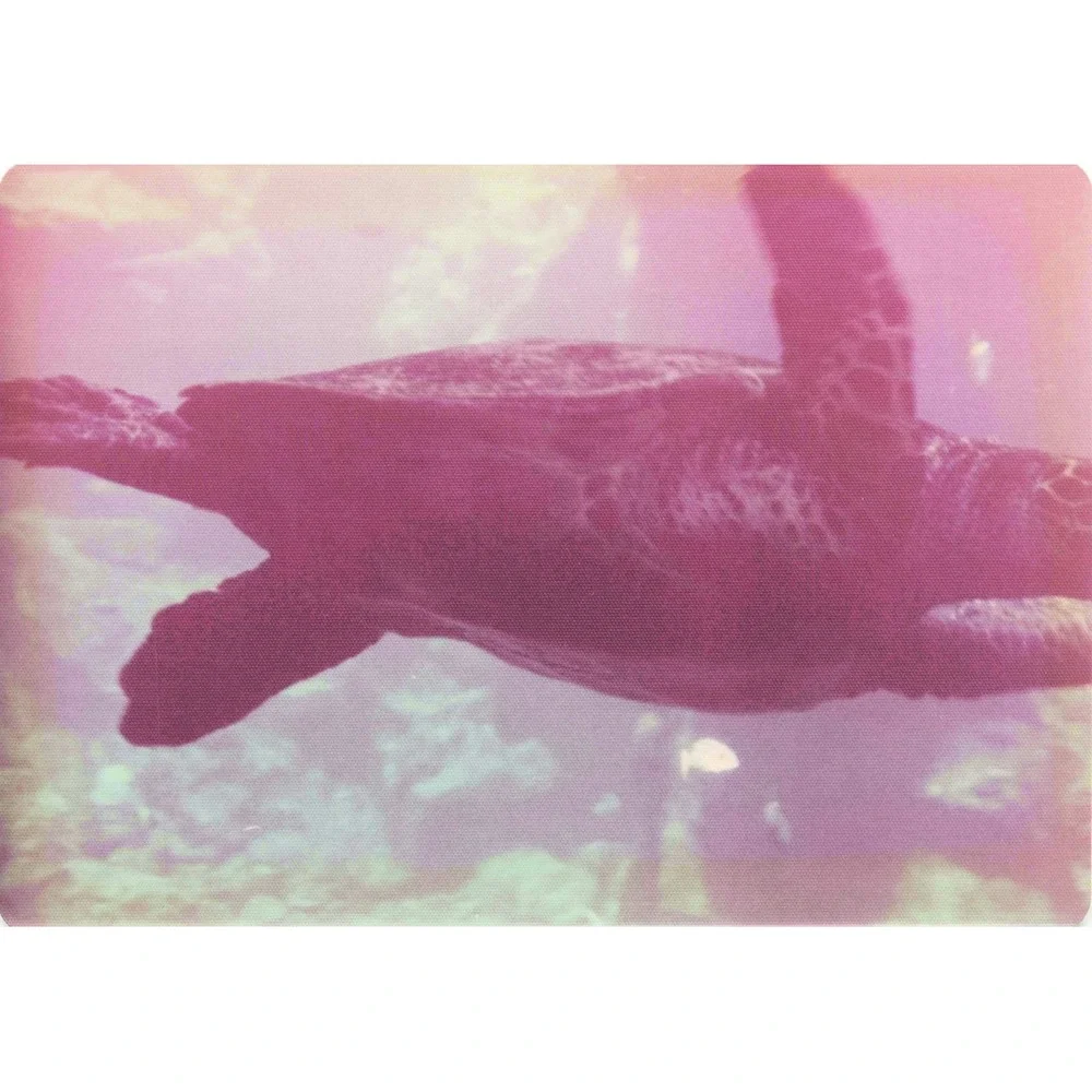 Vintage 1970s Hawaii Sea Turtle Boathouse Tour Lot of 8 Photos 3.5x5 - Picture 6 of 8